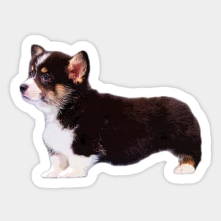 Corgi Tri Color Puppy Dog Sticker